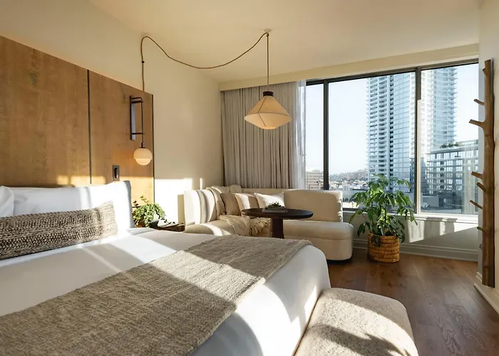 Studio Suite