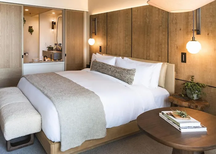 One-Bedroom King Suite
